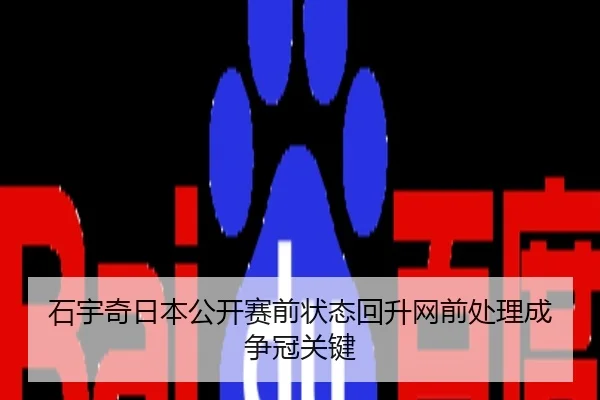 石宇奇日本公开赛前状态回升网前处理成争冠关键