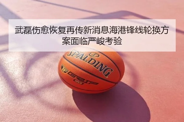 武磊伤愈恢复再传新消息海港锋线轮换方案面临严峻考验