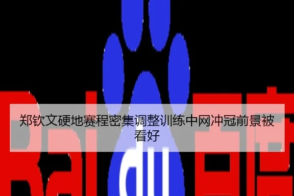 郑钦文硬地赛程密集调整训练中网冲冠前景被看好