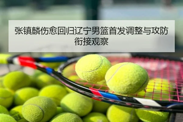 张镇麟伤愈回归辽宁男篮首发调整与攻防衔接观察